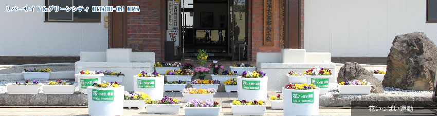 花いっぱい運動